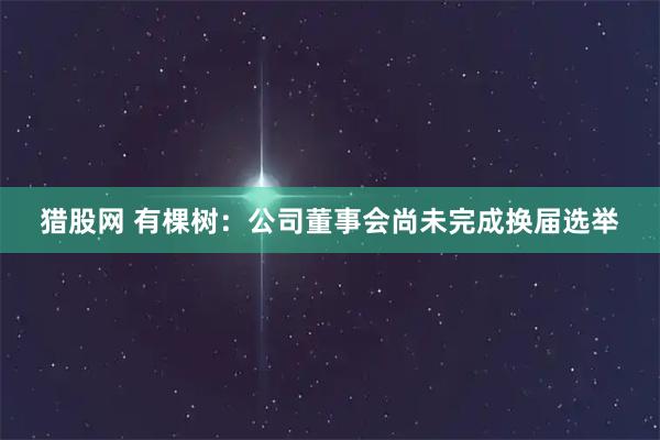 猎股网 有棵树：公司董事会尚未完成换届选举