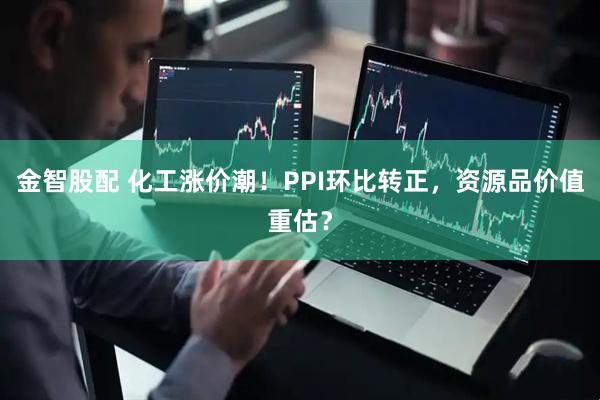 金智股配 化工涨价潮！PPI环比转正，资源品价值重估？