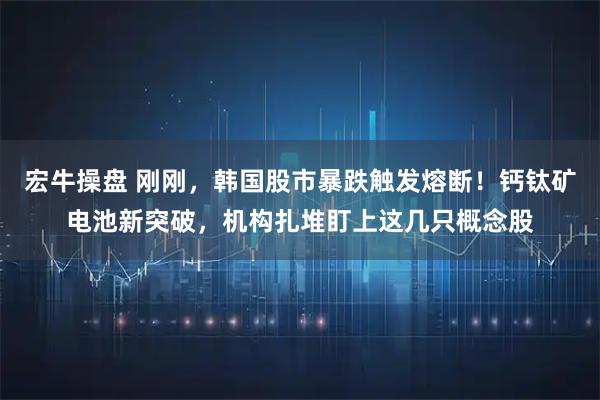 宏牛操盘 刚刚，韩国股市暴跌触发熔断！钙钛矿电池新突破，机构扎堆盯上这几只概念股
